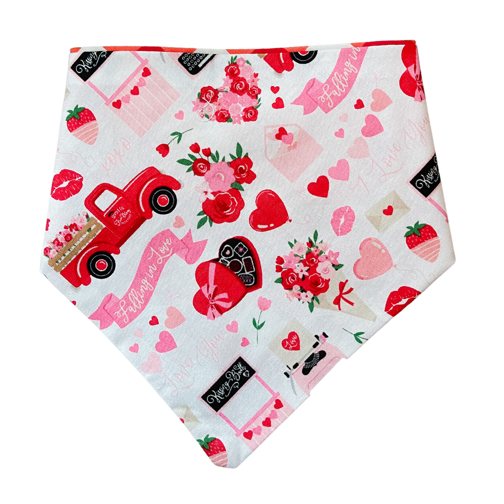 Valentine's Day & Red Plaid Reversible Pet Bandana
