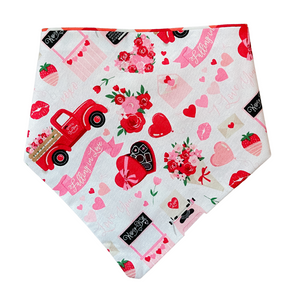 Valentine's Day & Red Plaid Reversible Pet Bandana