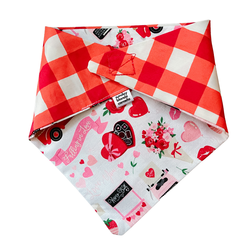 Valentine's Day & Red Plaid Reversible Pet Bandana