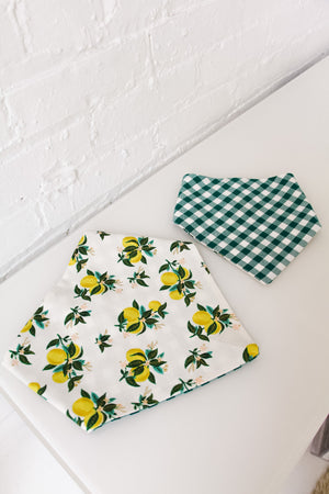 Lemons & Green Checkered Reversible Pet Bandana