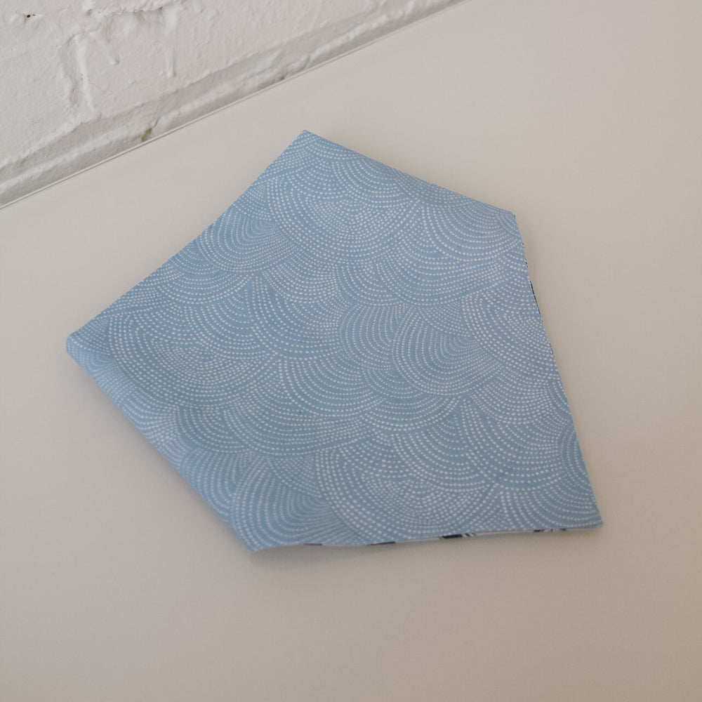 Beer & Baby Blue Rainbow Reversible Pet Bandana