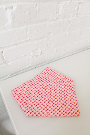 
            
                Load image into Gallery viewer, Strawberries &amp;amp; Pink Checkered Reversible Pet Bandana
            
        